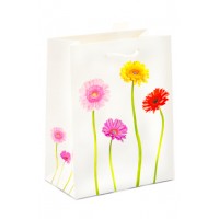 Premium Gift Bags Best Wishes, Medium (12) GBMBW